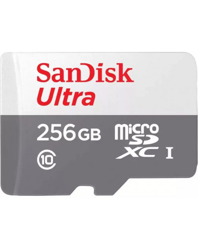 Карта памяти SanDisk Ultra microSDHC 256GB Class 10